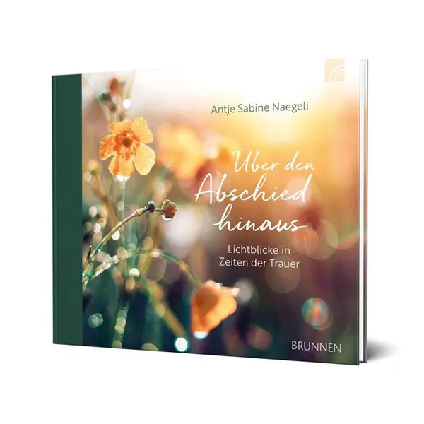 Produktbild des Artikels Über den Abschied hinaus (Buch - Gebunden)