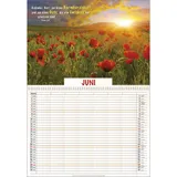 Stimmungsbild zu Bei uns ist eXtrem was los 2026