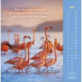 Stimmungsbild zu Gottes Liebe ist wie die Sonne 2026 - Postkartenkalender