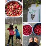 Stimmungsbild zu Frühling, Sommer, Herbst, Familie