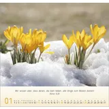 Stimmungsbild zu Blumen-Impressionen 2026 - Wandkalender