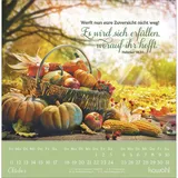 Stimmungsbild zu Lieblingsworte für dich 2026 - Postkartenkalender
