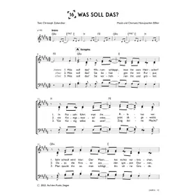 Produktbild des Artikels Was soll das? (Chor) (Noten - Download)