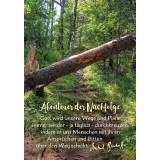 Stimmungsbild zu Karten-Box: Gott ist mit dir