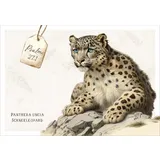 Stimmungsbild zu Neujahrslose "Meisterwerke"