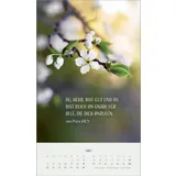 Stimmungsbild zu Zarte Blumengrüße 2026 - Posterkalender