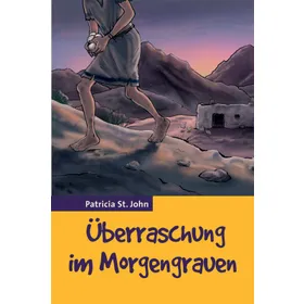 Produktbild des Artikels Überraschung im Morgengrauen (Buch - Taschenbuch)