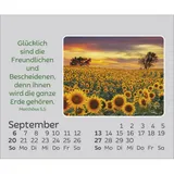 Stimmungsbild zu Freude für jeden Tag 2026 - Mini-Aufstellkalender