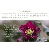 Stimmungsbild zu Das Geschenk der Freude 2026