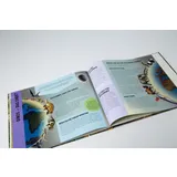 Stimmungsbild zu Als Gott die Dinosaurier schuf