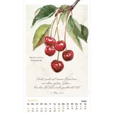 Stimmungsbild zu SchmuckStücke des Schöpfers 2026 - Posterkalender