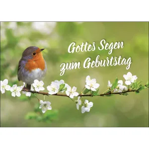 Produktbild des Artikels Postkarten: Gottes Segen zum Geburtstag, 4 Stück (Schreibwaren)
