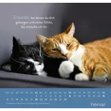 Stimmungsbild zu Einfach mal abhängen 2026 - Wandkalender