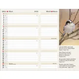 Stimmungsbild zu Agenda 2026