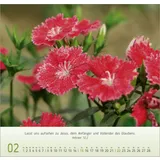 Stimmungsbild zu Blumen-Impressionen 2026 - Wandkalender