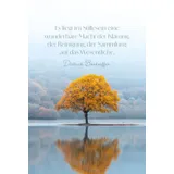 Stimmungsbild zu Behütet und getröstet jeden Tag - Aufstellbuch