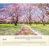 Stimmungsbild zu Balsam für deine Seele 2026 - Wandkalender