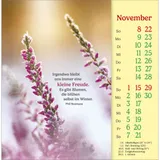 Stimmungsbild zu Phil Bosmans 2026 - Postkartenkalender