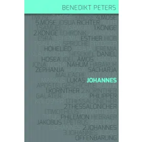 Produktbild des Artikels Kommentar zum Johannes-Evangelium (Buch - Gebunden)