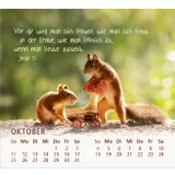 Stimmungsbild zu Du bist meine Freude 2026 - Tischkalender