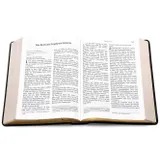 Stimmungsbild zu Schlachter 2000 - Großdruckausgabe, Kalbsleder, flexibel, Goldschnitt