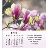 Stimmungsbild zu Ich wünsch dir Freude 2026 - Tischkalender