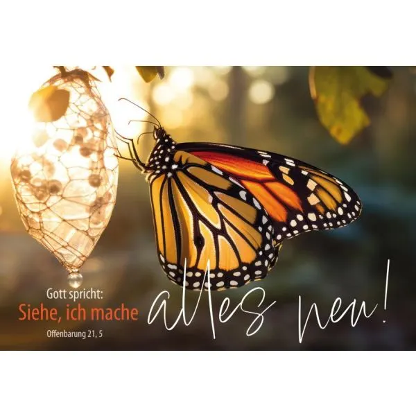 Motiv Schmetterling 1