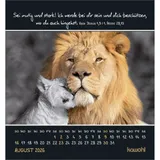 Stimmungsbild zu Freu dich an kleinen Wundern 2026 - Aufstellkalender