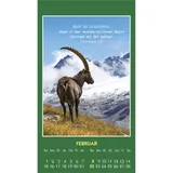 Stimmungsbild zu Hallo Du 2026 - Aufkleber-Kalender