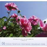 Stimmungsbild zu Blumen-Impressionen 2026 - Wandkalender