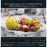 Stimmungsbild zu Kleine Wunder entdecken 2026 - Wandkalender