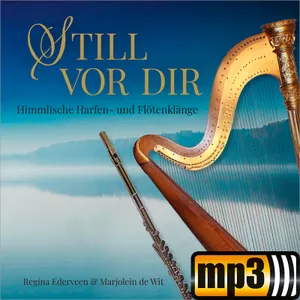 Produktbild des Artikels Still vor dir (MP3-Album - Download)