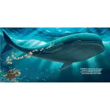 Stimmungsbild zu Der Wal & Jona