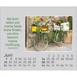 Stimmungsbild zu Freude für jeden Tag 2026 - Mini-Aufstellkalender