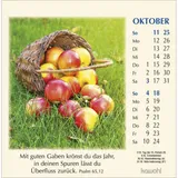 Stimmungsbild zu Worte des Lebens 2026 - Postkartenkalender