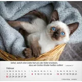 Stimmungsbild zu Katzen 2026 - Tischkalender