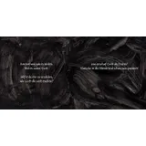 Stimmungsbild zu Wie Gott die Welt geschaffen hat