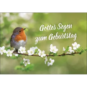 Produktbild des Artikels Postkarten: Gottes Segen zum Geburtstag, 4 Stück (Schreibwaren)