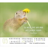 Stimmungsbild zu Begegnungen 2026 - Minikalender