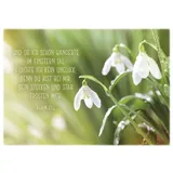 Stimmungsbild zu Postkartenbox "Getragen und getröstet"