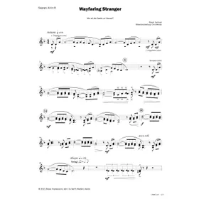 Produktbild des Artikels Wayfaring Stranger (Noten - Download)