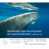 Stimmungsbild zu Begegnungen 2026 - Minikalender