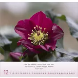 Stimmungsbild zu Blumen-Impressionen 2026 - Wandkalender