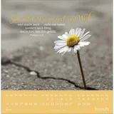 Stimmungsbild zu Lieblingsworte für dich 2026 - Postkartenkalender