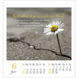 Stimmungsbild zu Lieblingsworte umgeben dich 2026 - Aufkleber-Kalender