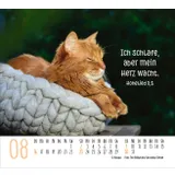 Stimmungsbild zu Katzen 2026 - Minikalender