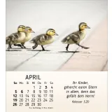 Stimmungsbild zu Meine kleinen Freunde 2026 - Tischkalender