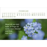 Stimmungsbild zu Das Geschenk der Freude 2026