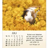 Stimmungsbild zu Meine kleinen Freunde 2026 - Tischkalender