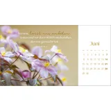 Stimmungsbild zu Augenblicke der Anbetung 2026 - Postkartenkalender